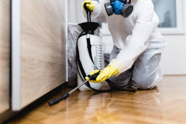 Best Emergency Pest Control  in Harvey, MI