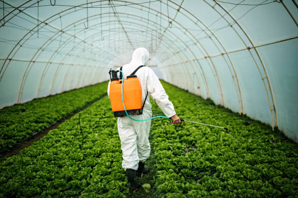 Best Affordable Pest Control Services  in Harvey, MI