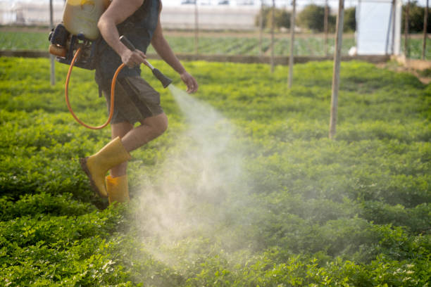 Best Best Pest Control Companies  in Harvey, MI