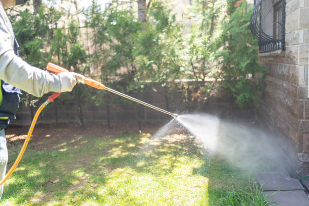 Best Residential Pest Control  in Harvey, MI