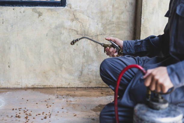 Best Best Pest Control Companies  in Harvey, MI